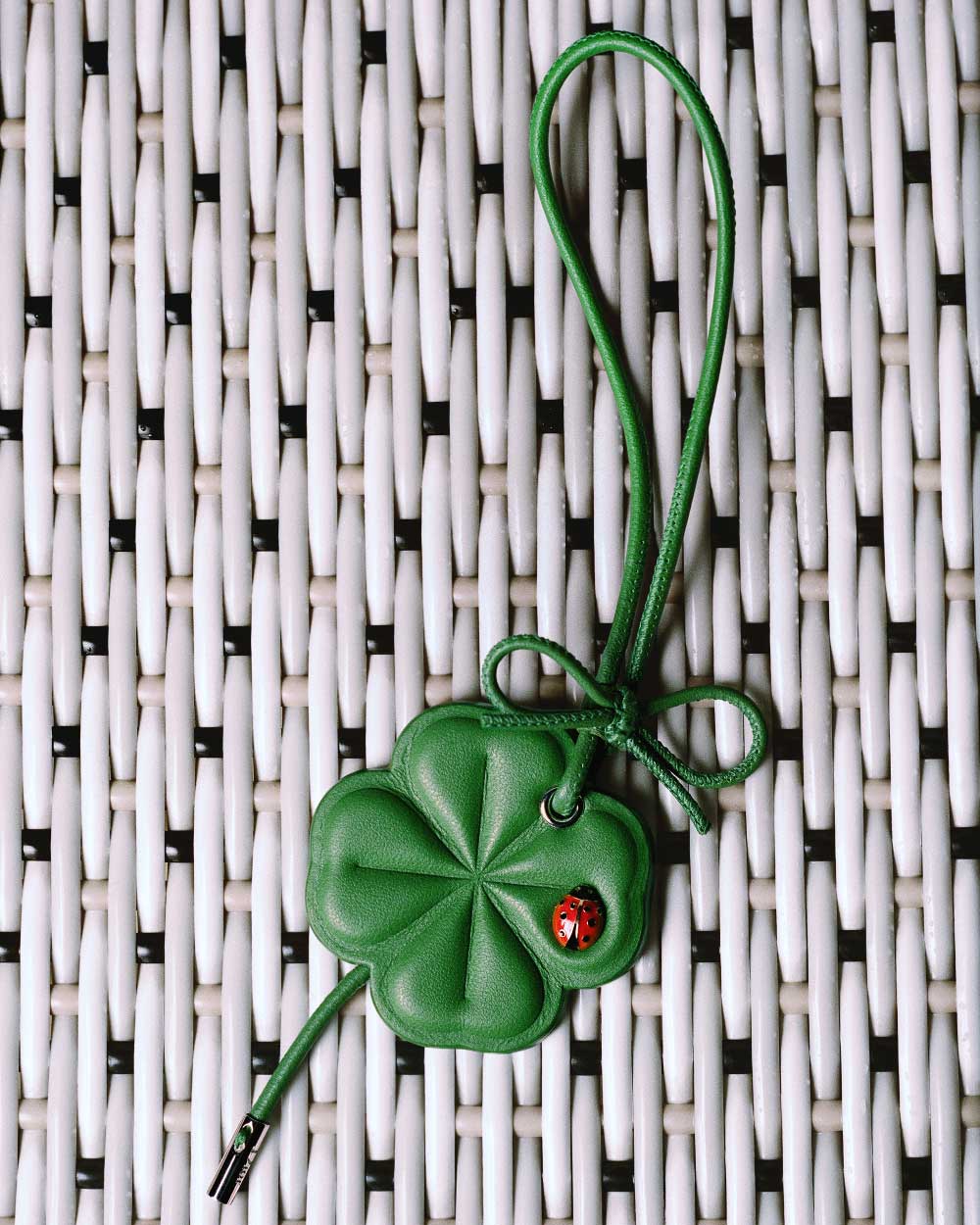 El magnetismo eterno de los detalles Dior