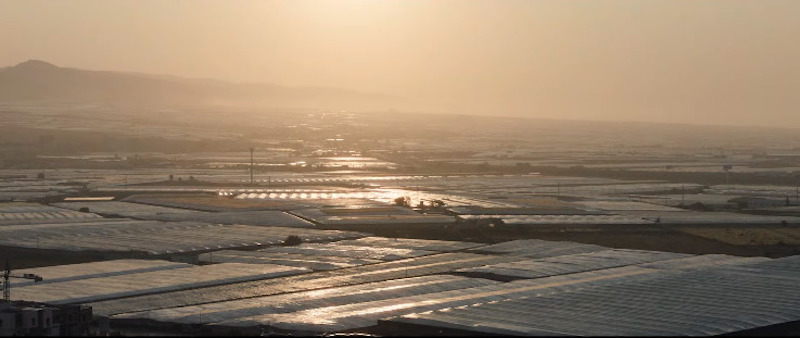 Iván & Hadoum. Exceso almeriense y política del deseo