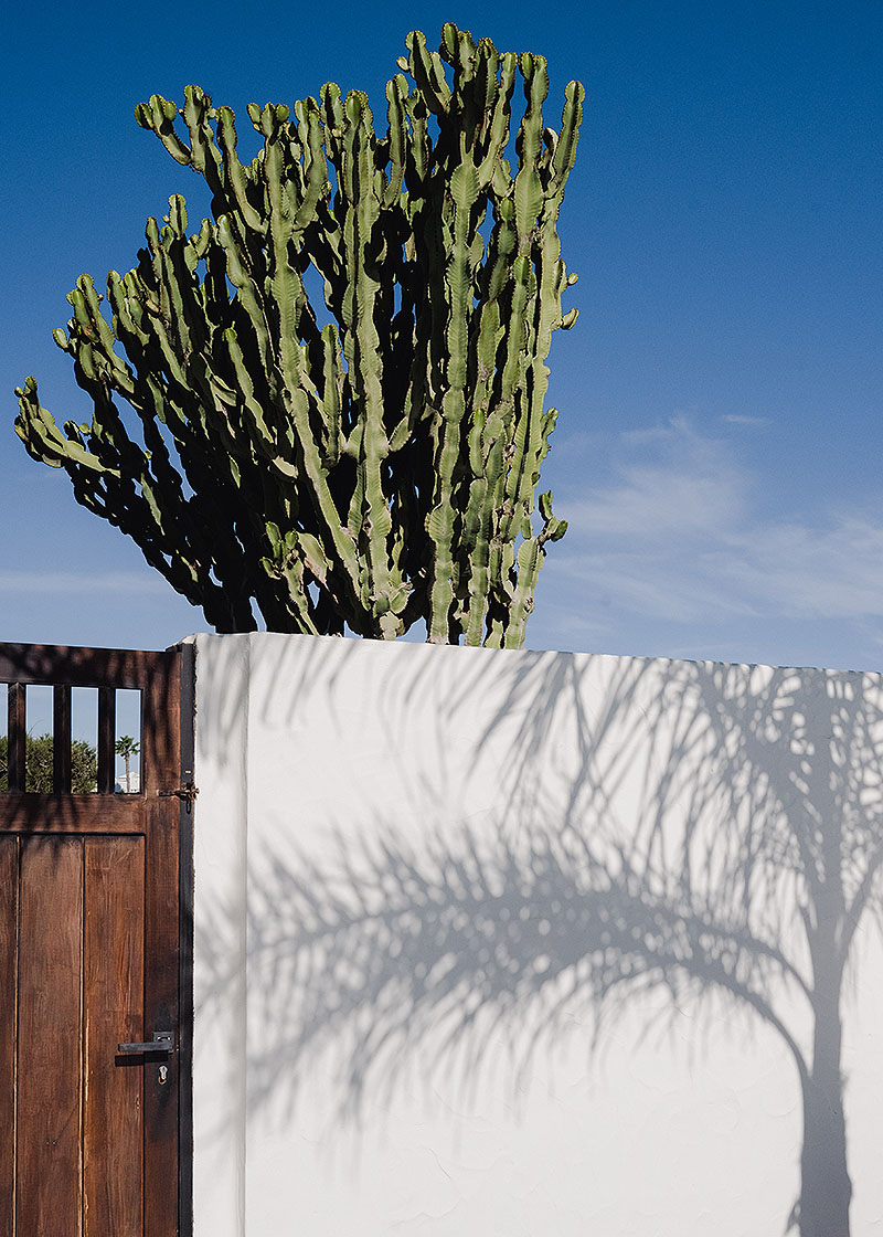 Arquitectura blanca que dialoga con el paisaje volcánico