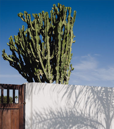 Arquitectura blanca que dialoga con el paisaje volcánico
