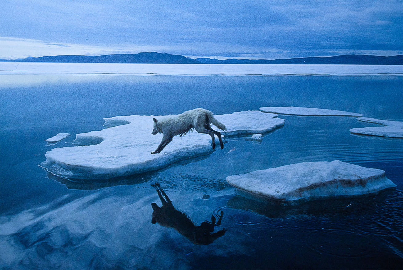 Deja de ser un fotógrafo genérico, especialízate en LABASAD
