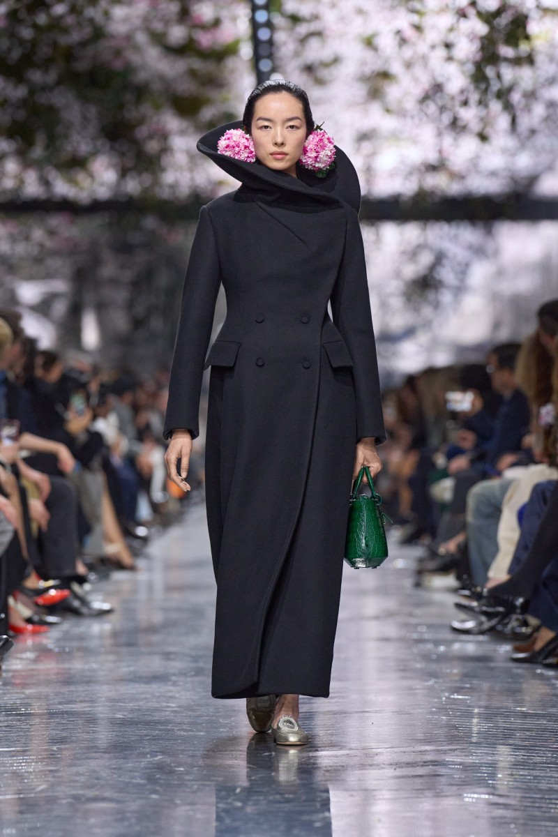 Mira el desfile de Dior Mujer fw26 aquí mismo en streaming