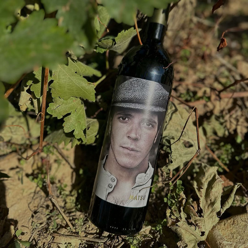 6 vinos tintos ideales para acertar seguro el Día del Padre