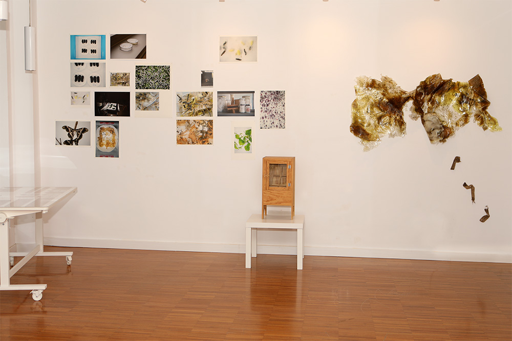 Formas de Habitar. Arte, ciencia y ecología en Efímera