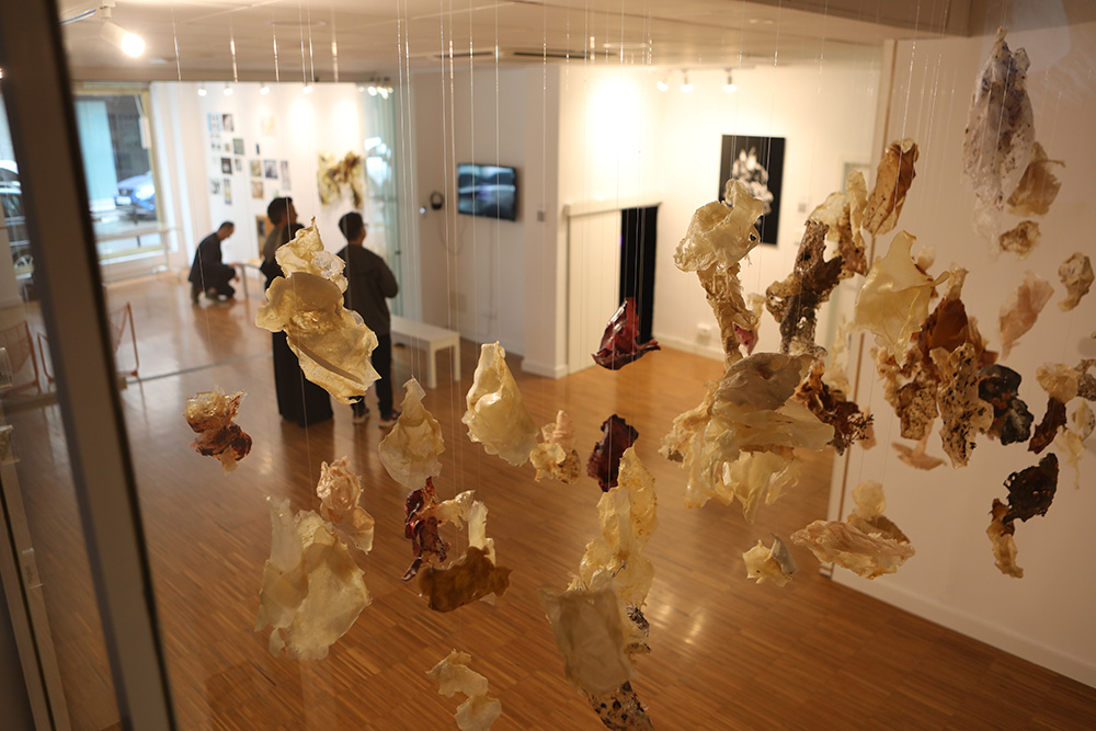 Formas de Habitar. Arte, ciencia y ecología en Efímera