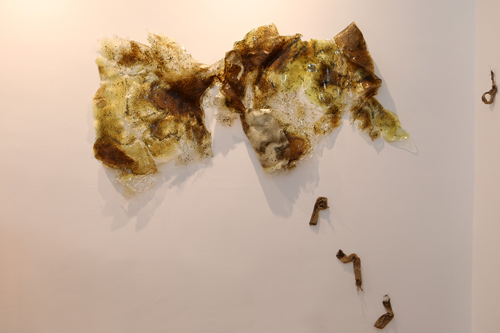 Formas de Habitar. Arte, ciencia y ecología en Efímera