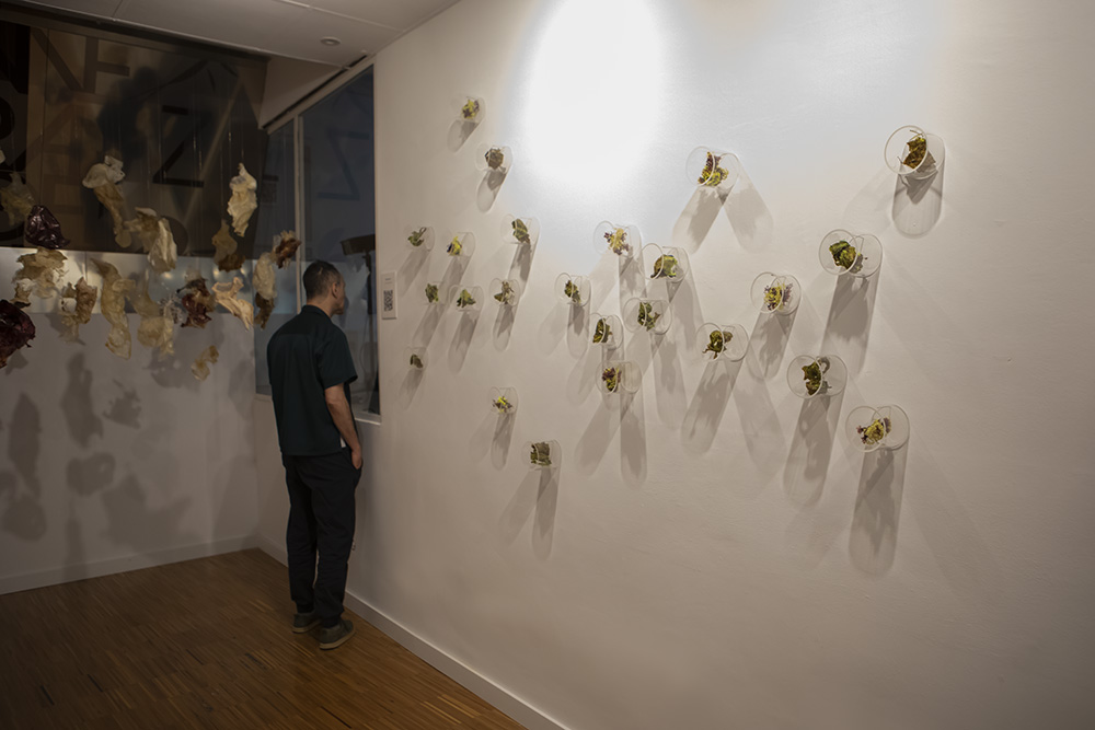 Formas de Habitar. Arte, ciencia y ecología en Efímera