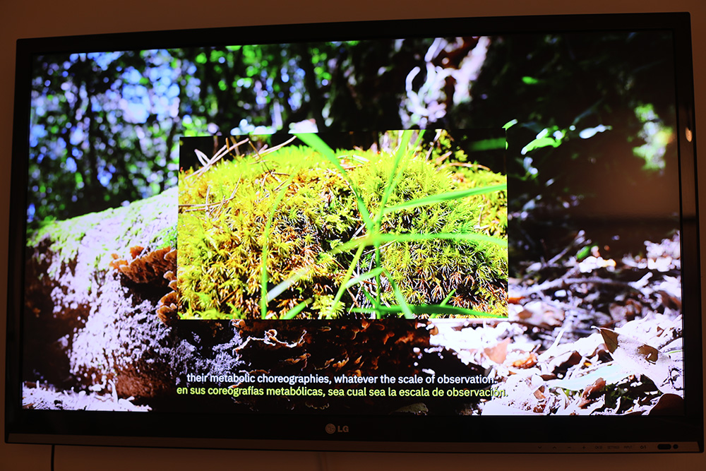 Formas de Habitar. Arte, ciencia y ecología en Efímera