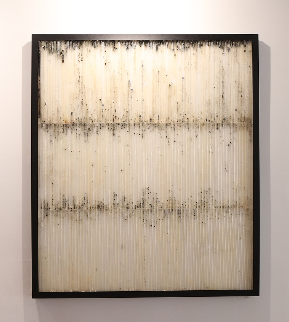 Formas de Habitar. Arte, ciencia y ecología en Efímera