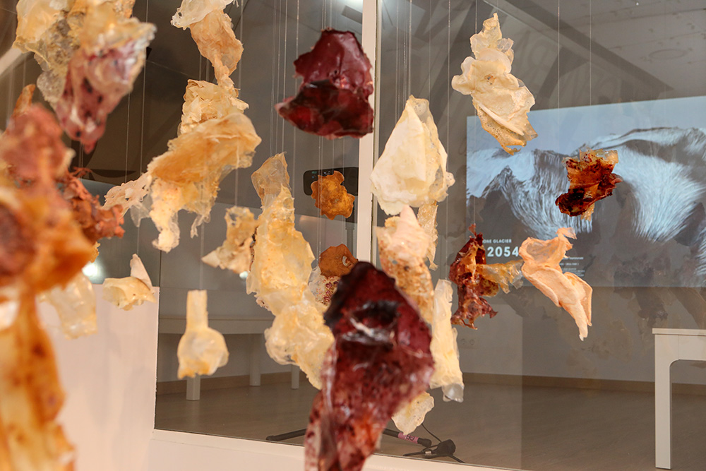 Formas de Habitar. Arte, ciencia y ecología en Efímera