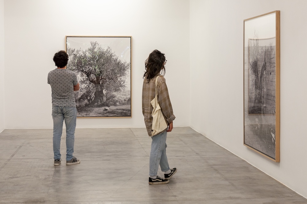 Anozero 2026 - Bienal de Arte Contemporânea de Coimbra