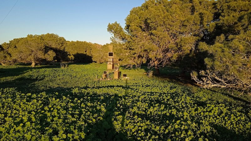 Formas de Habitar. Arte, ciencia y ecología en Efímera