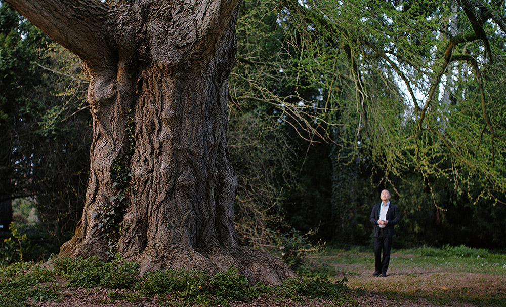El Amigo Silencioso: el invisible eco de la naturaleza