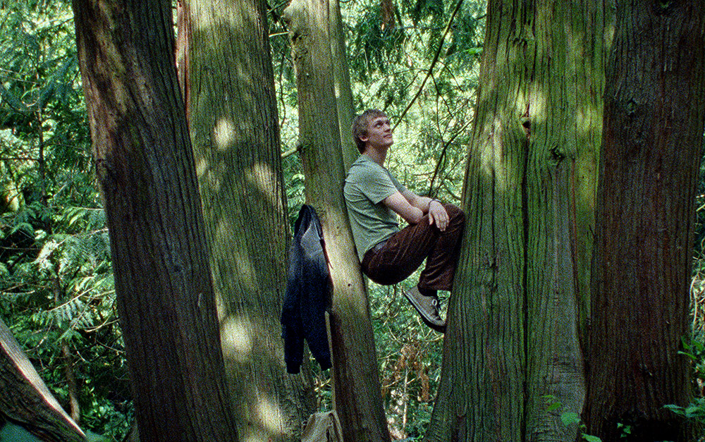 El Amigo Silencioso: el invisible eco de la naturaleza