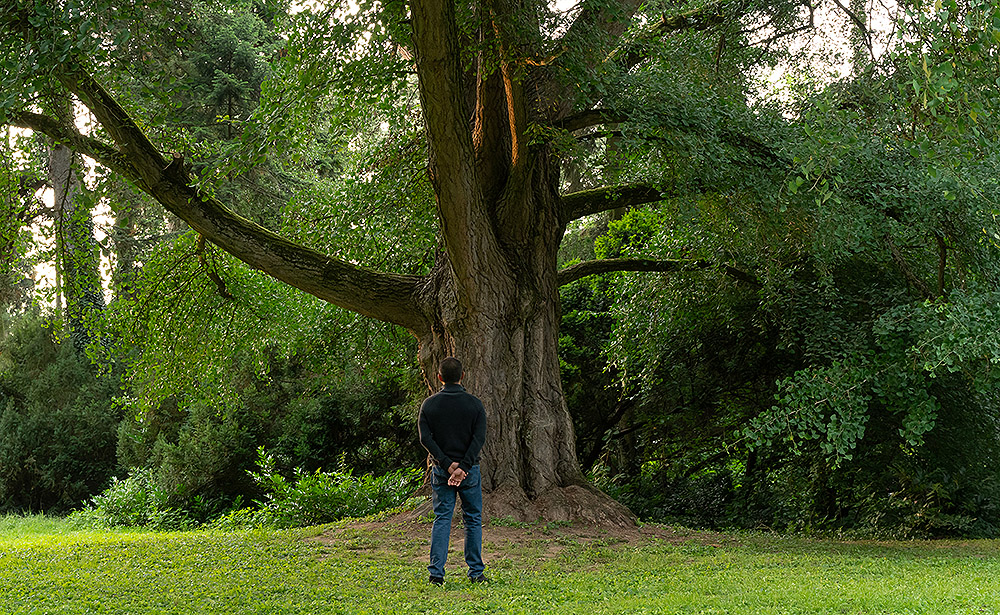 El Amigo Silencioso: el invisible eco de la naturaleza