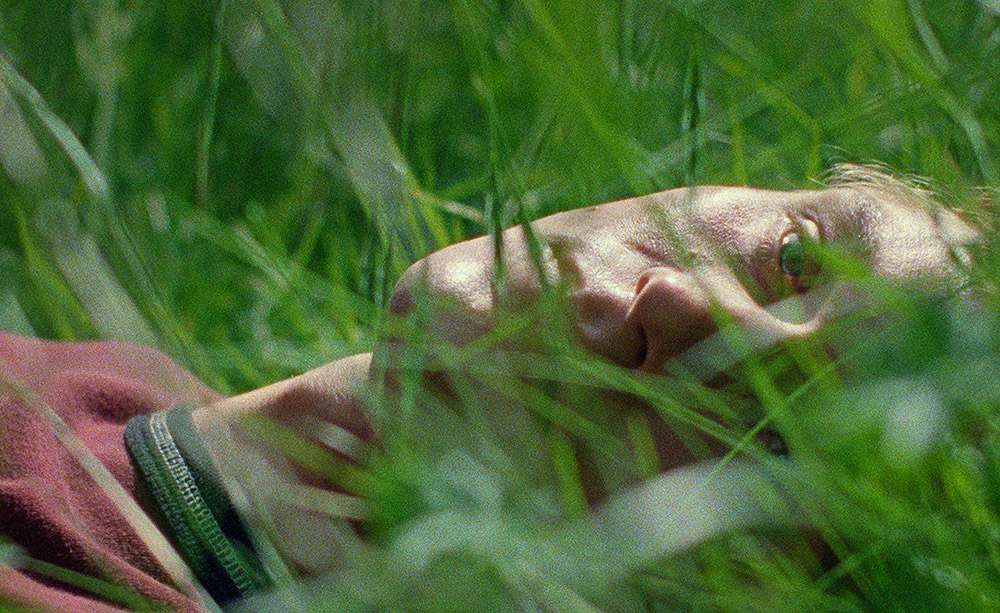 El Amigo Silencioso: el invisible eco de la naturaleza