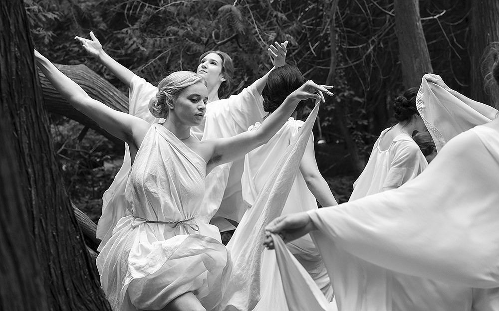 El Amigo Silencioso: el invisible eco de la naturaleza