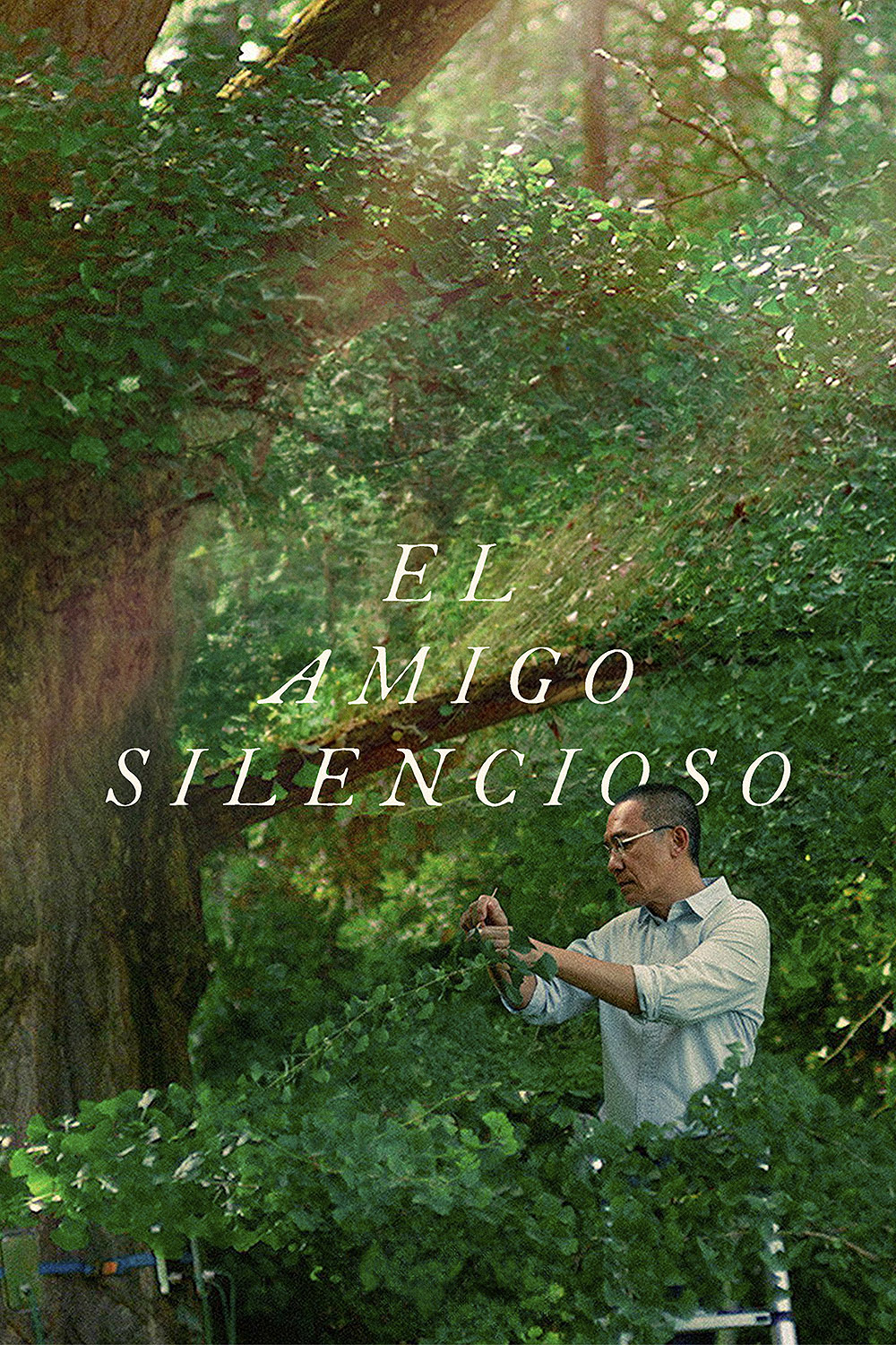 El Amigo Silencioso: el invisible eco de la naturaleza