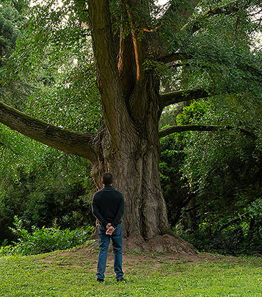 El Amigo Silencioso: el invisible eco de la naturaleza