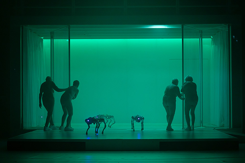 Florentina Holzinger: gravedad, cuerpo y danza extrema