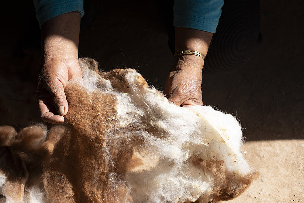 Agua y territorio: El Santuario del Agua de Tomás Saraceno