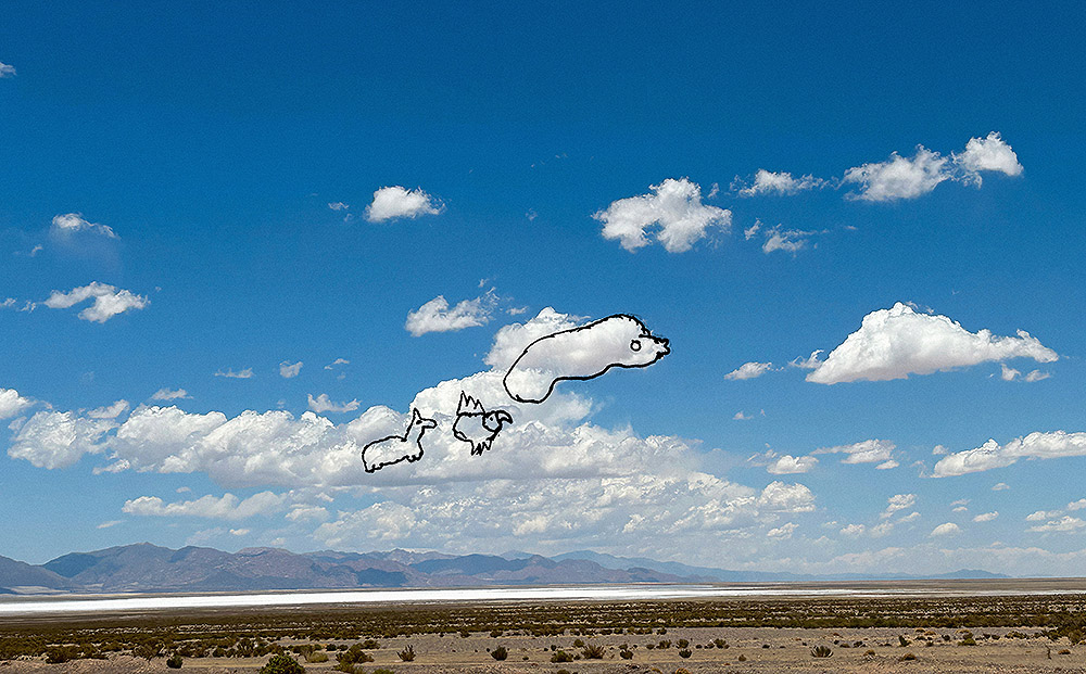 Agua y territorio: El Santuario del Agua de Tomás Saraceno