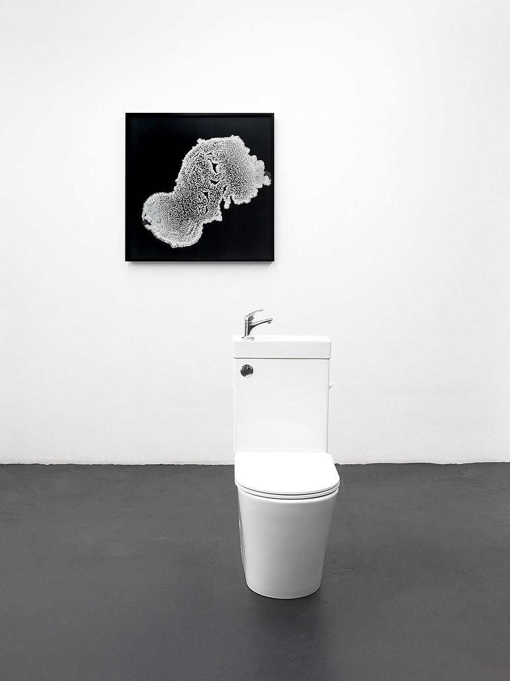 Agua y territorio: El Santuario del Agua de Tomás Saraceno