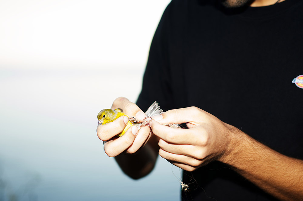 Habitar el Proceso: la fotografía como espacio en tránsito
