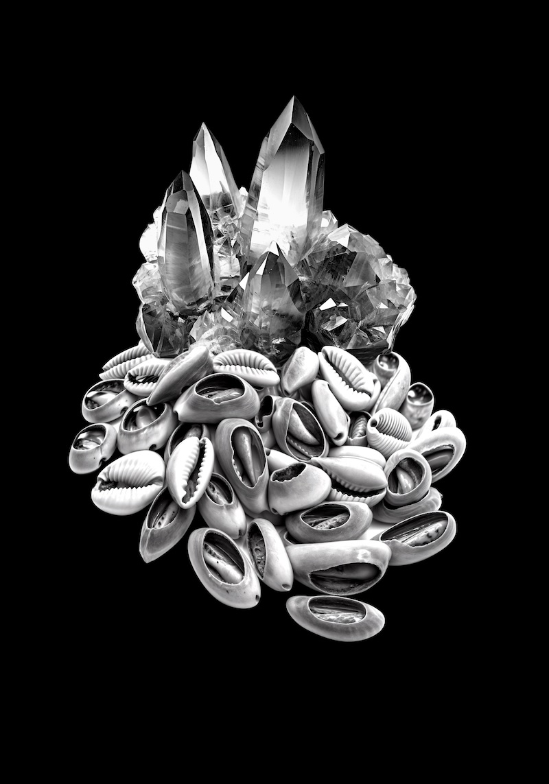 Formas de Habitar. Arte, ciencia y ecología en Efímera