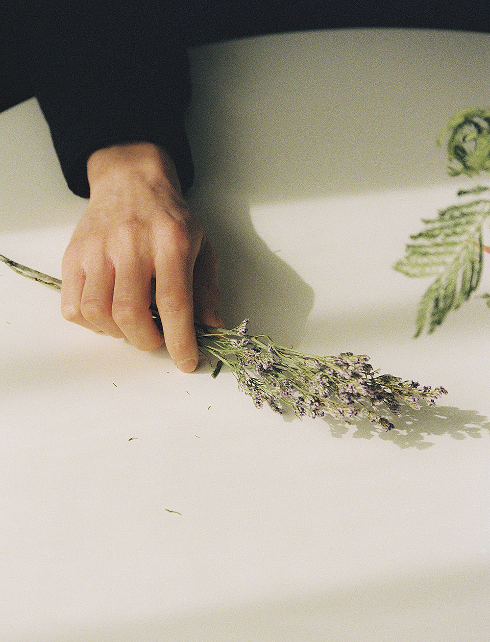 Entrevista a Pol Guasch: Pensando en el amor y la escritura