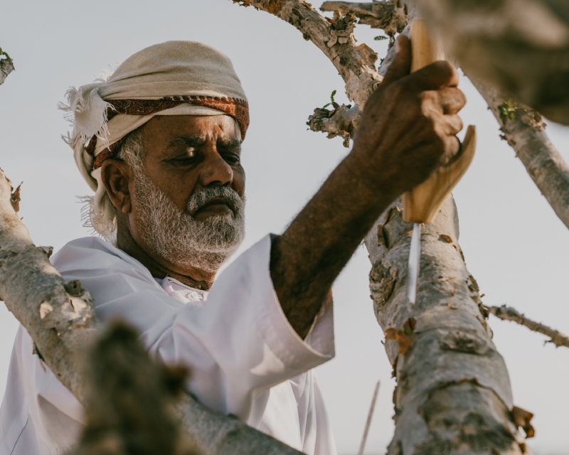Amouage reescribe las reglas de lo floral con Love Hibiscus
