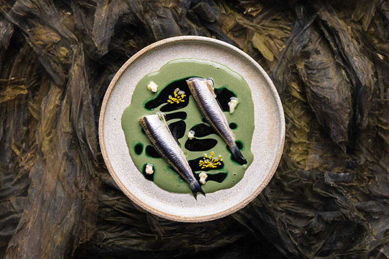 Basque Culinary Center lanza el complejo libro Fermentos