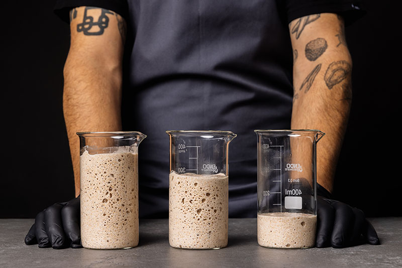 Basque Culinary Center lanza el complejo libro Fermentos