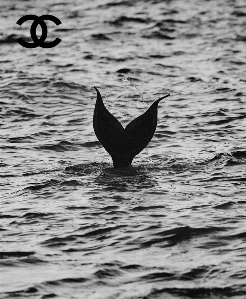 Matthieu Blazy regresará a las raíces de Chanel