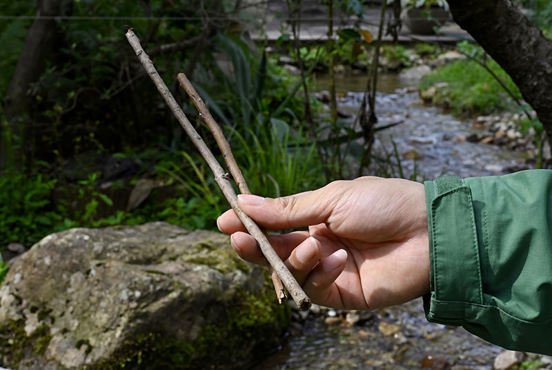 Exposición Chopsticks: Yoko Choy une Asia con un objeto