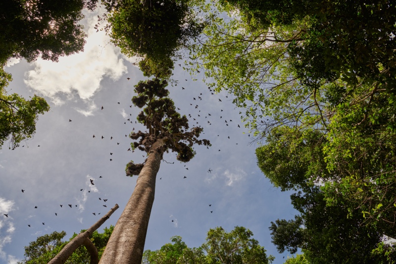 Louis Vuitton da un paso más allá en la sostenibilidad