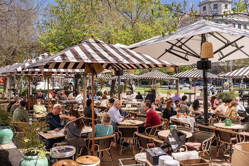 Reapertura del Café Gijón: espacio fiel, cocina desfigurada