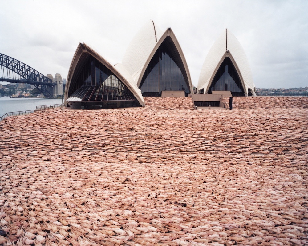 Spencer Tunick vendrá a Gran Canaria a gritar con colores