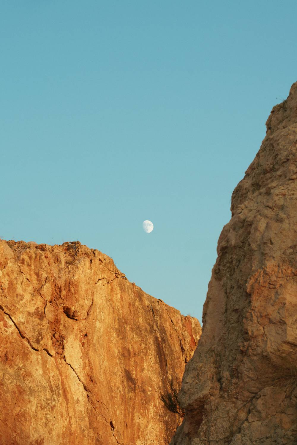 SDL The Rocky Desert Ibiza el festi vuelve el 20 de junio