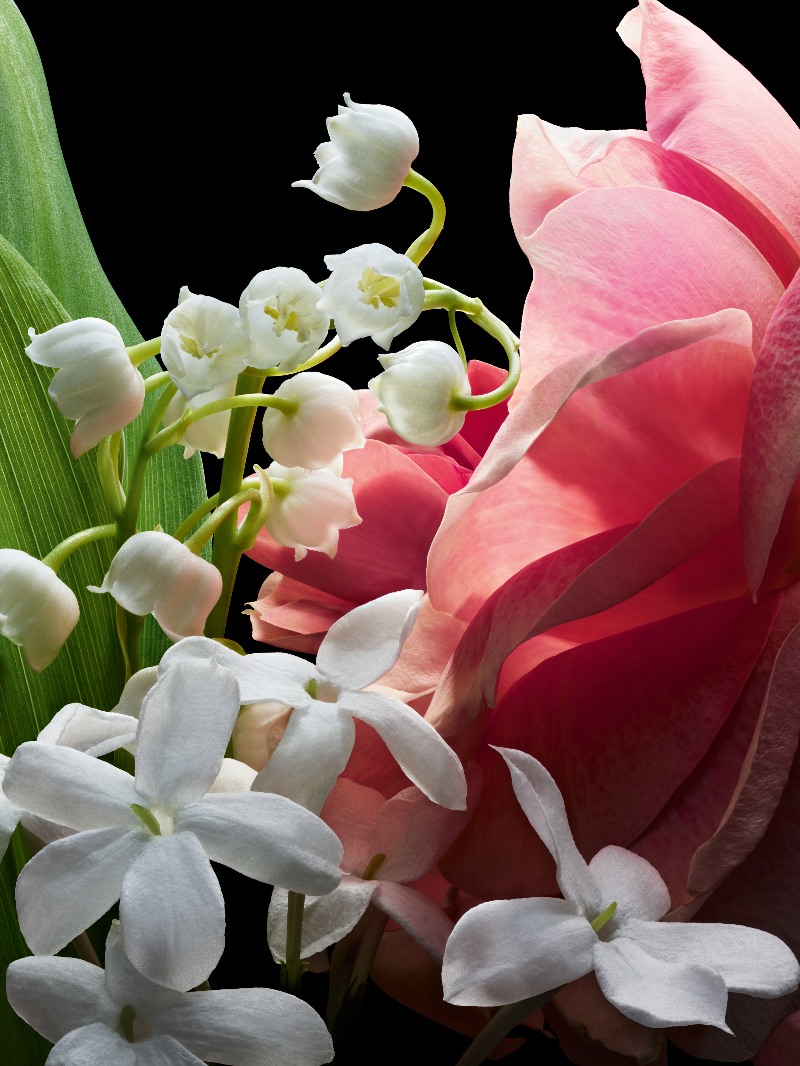 Guerlain celebra su perfume más icónico con artesanía