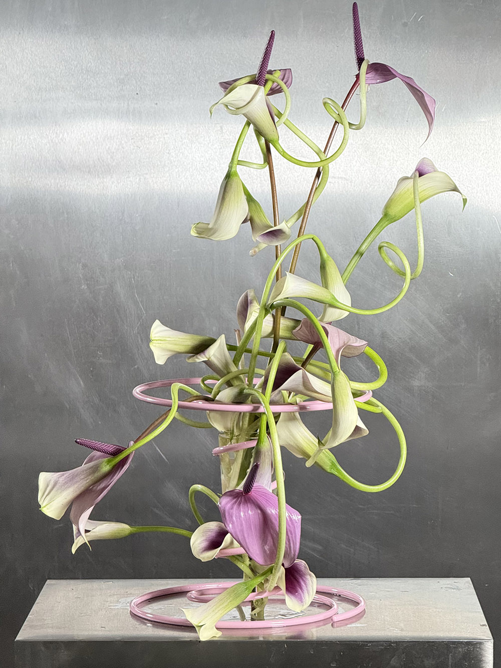 FLORA 2026: el arte floral celebra la belleza efímera