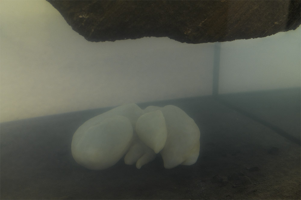 Pierre Huyghe imagina otros mundos en  la Fondation Beyeler