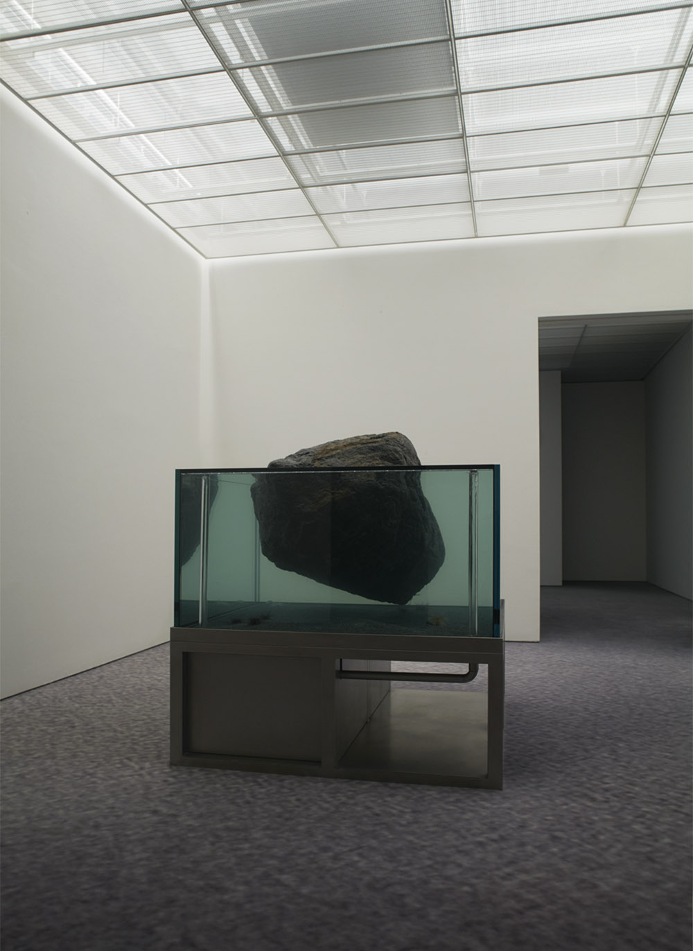 Pierre Huyghe imagina otros mundos en  la Fondation Beyeler