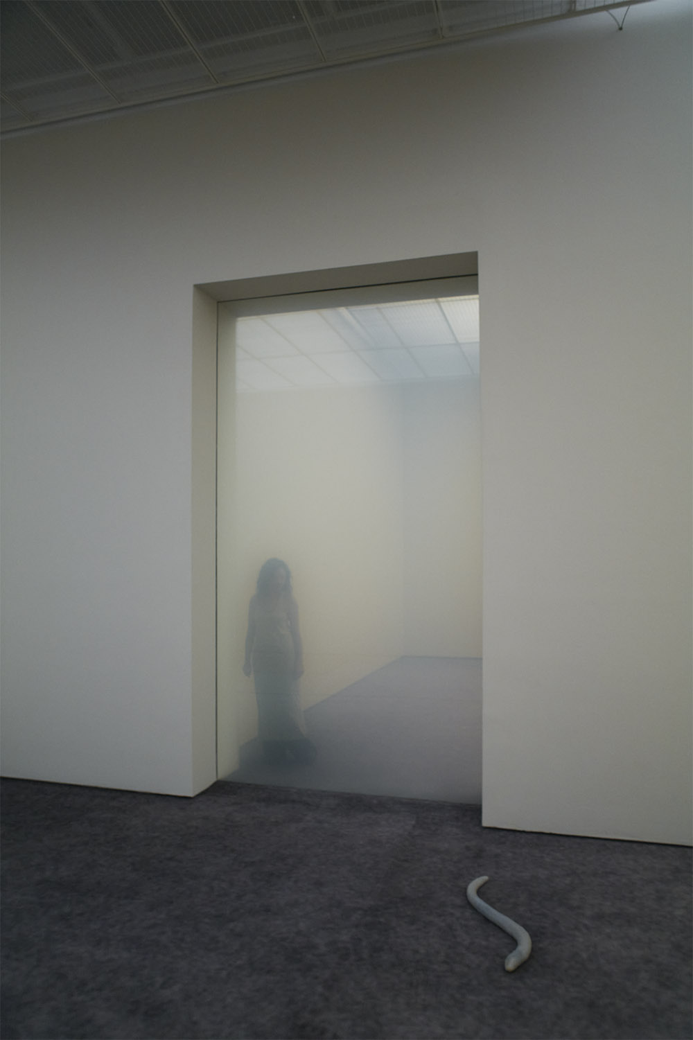 Pierre Huyghe imagina otros mundos en  la Fondation Beyeler