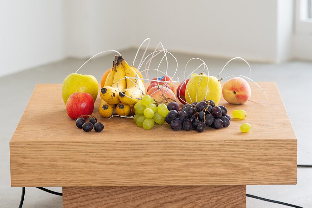 Yuko Mohri. El arte de lo imprevisible y la transformación