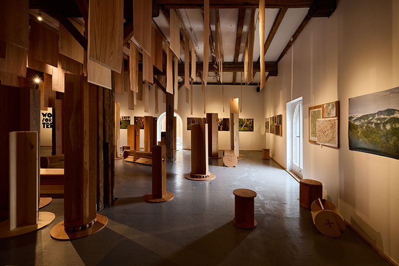 AHEC x Mitre & Mondays: el bosque y su materialidad