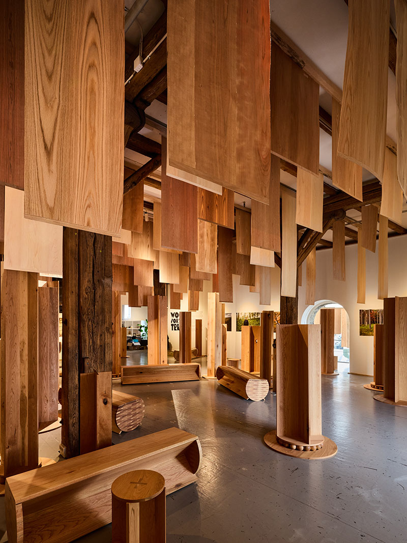AHEC x Mitre & Mondays: el bosque y su materialidad