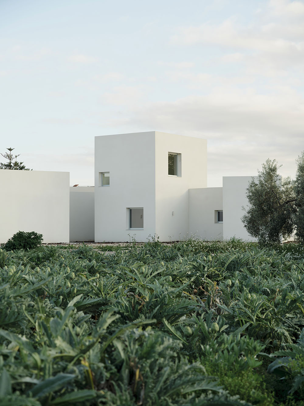 Casa AM14: la vivienda de Especie inspirada en los pueblos