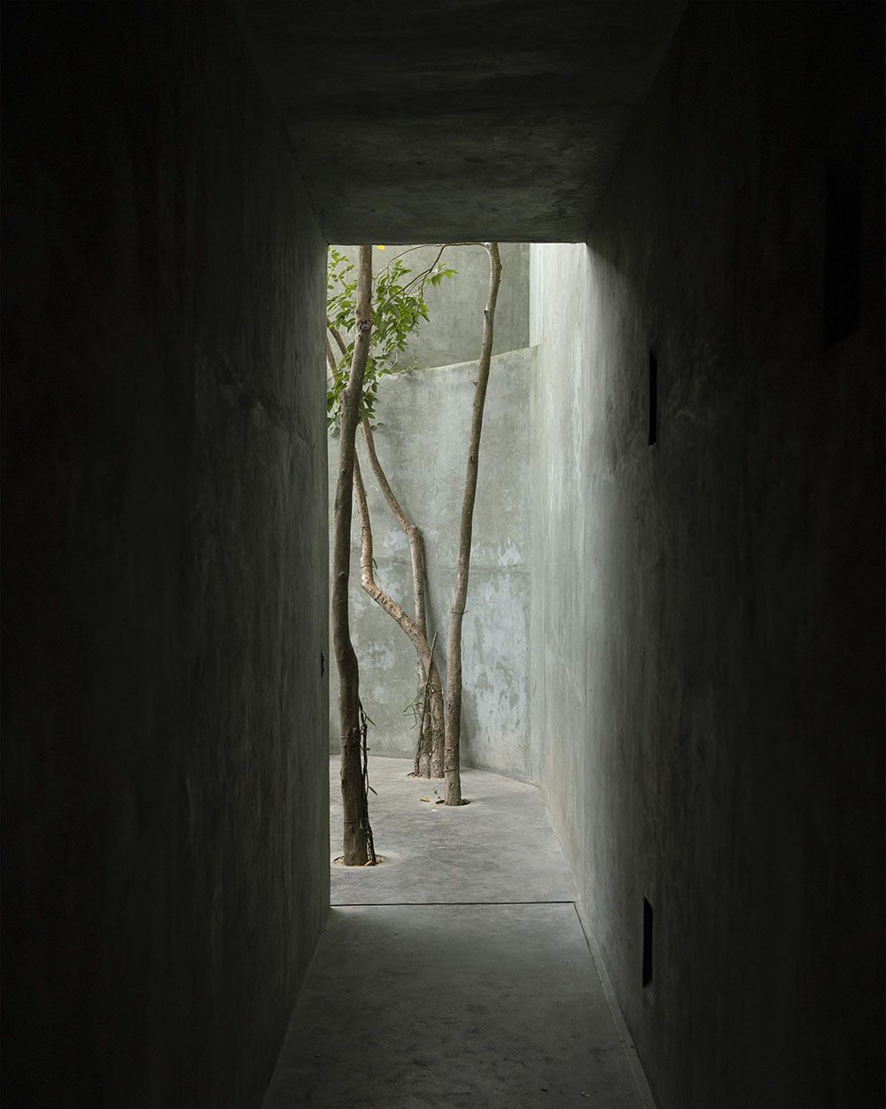 Casa Gruta: austeridad brutalista con alma de cenote