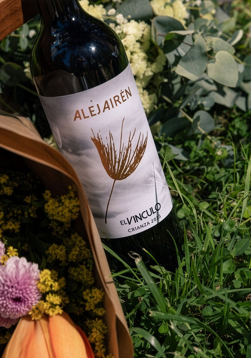 8 vinos blancos perfectos para refrescar el verano